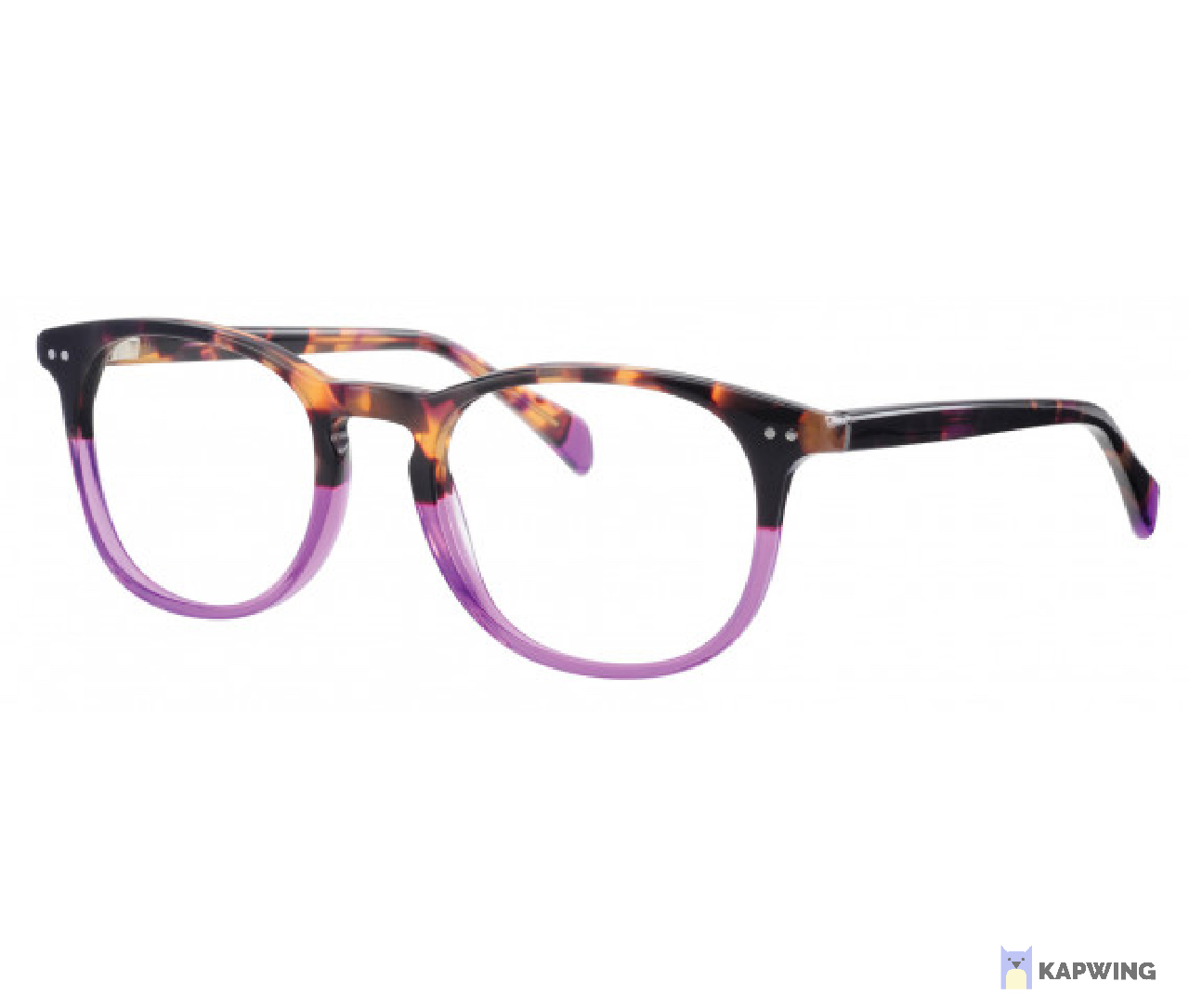 Buy Synergy 6017 Glasses, Glasses Frames & Sunglasses Online