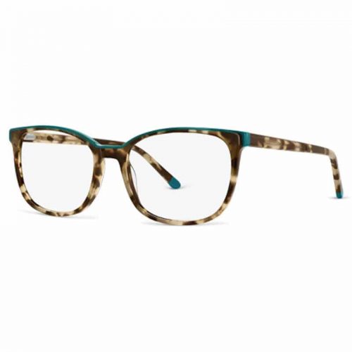 Basebox 6097 Glasses